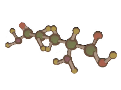 La estructura molecular de la glutamina