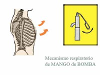 Mecanismo respiratorio del mango de bomba