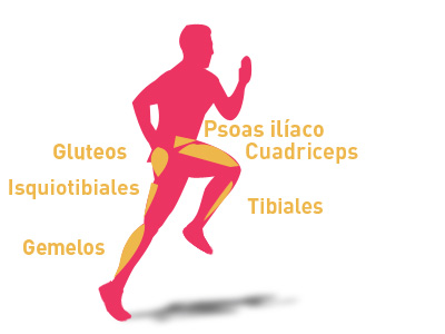 Resultado de imagen de musculos que ejercitas haciendo skipping