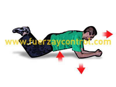 Ejercicio de fuerza abdominal en cuadrupedia de codos y rodillas
