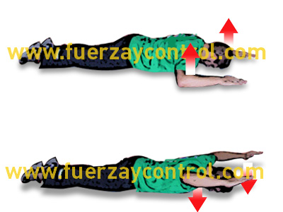 Ejercicio de trapecio medio y deltoides posterior: Elevaciones brazo en escuadra tumbado boca abajo
